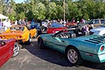 The 2014 Corvettes on Woodward Food Drive