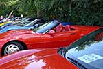 The 2014 Corvettes on Woodward Food Drive