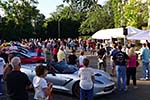 The 2014 Corvettes on Woodward Food Drive