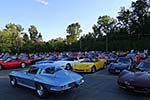 The 2014 Corvettes on Woodward Food Drive