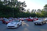 The 2014 Corvettes on Woodward Food Drive