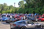 The 2014 Corvettes on Woodward Food Drive