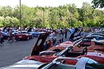 The 2014 Corvettes on Woodward Food Drive