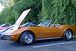 The 2014 Corvettes on Woodward Food Drive