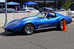 The Corvettes of the 2014 Woodward Dream Cruise