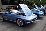 The Corvettes of the 2014 Woodward Dream Cruise