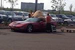 [PICS] Man Struggles to a Fit Giant Stuffed Bear in his C5 Corvette Convertible