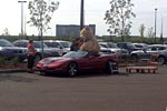 [PICS] Man Struggles to a Fit Giant Stuffed Bear in his C5 Corvette Convertible