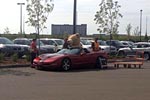 [PICS] Man Struggles to a Fit Giant Stuffed Bear in his C5 Corvette Convertible