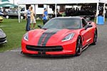 The 2014 Corvettes at Carlisle Show