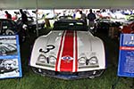 The 2014 Corvettes at Carlisle Show