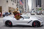 Chevrolet Celebrates National Teddy Bear Day with Childhood Cancer Patients