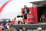 2014 Corvette FunFest at Mid America Motorworks