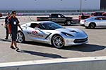 The Corvettes at the 2014 SEMA Show