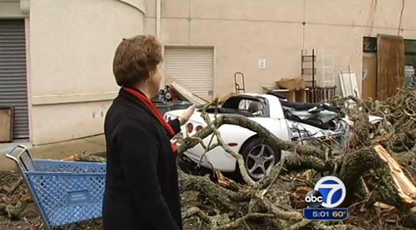 [VIDEO] Storm Damaged Tree Falls on a C5 Corvette in California