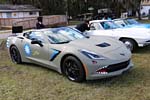 2015 NCRS Winter Regional at Sun 'n Fun in Lakeland, FL
