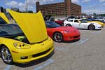 [PICS] The 2015 Corvettes in the D Charity Event