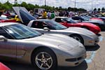 [PICS] The 2015 Corvettes in the D Charity Event