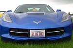 [PICS] The Corvette Vanity Plates of Bloomington Gold 2015