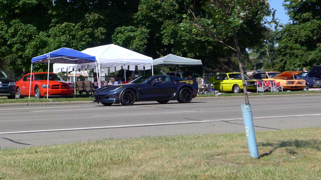 The Corvettes of the 2015 Woodward Dream Cruise
