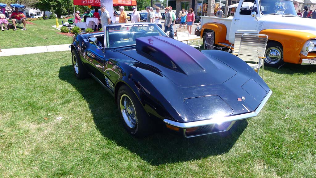 The Corvettes of the 2015 Woodward Dream Cruise
