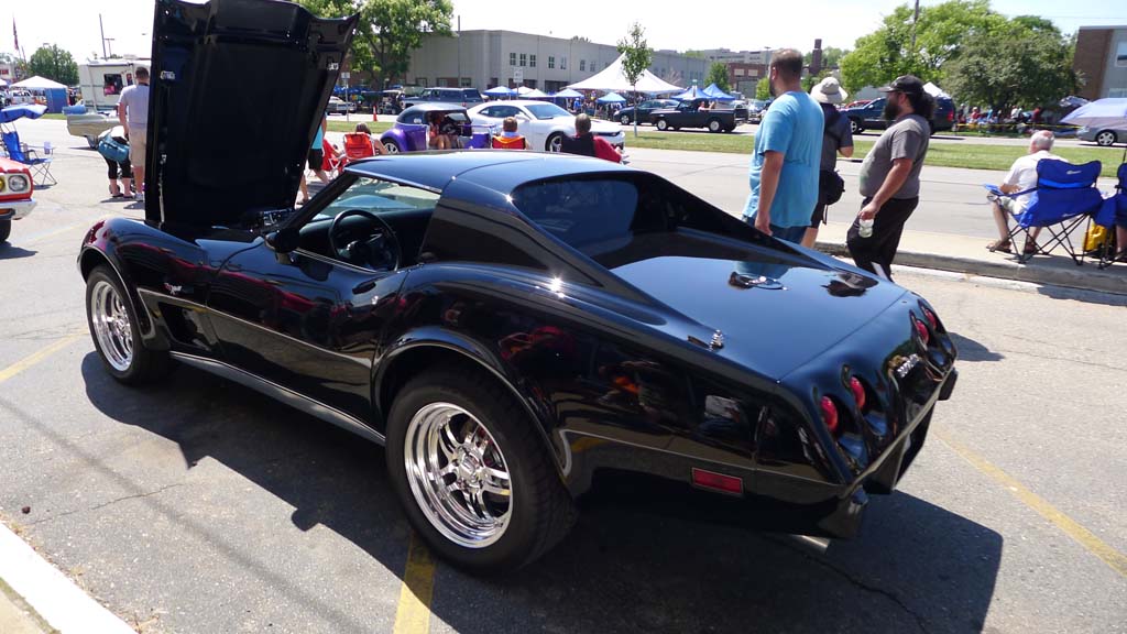 The Corvettes of the 2015 Woodward Dream Cruise