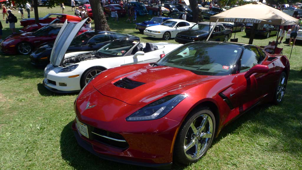 The Corvettes of the 2015 Woodward Dream Cruise