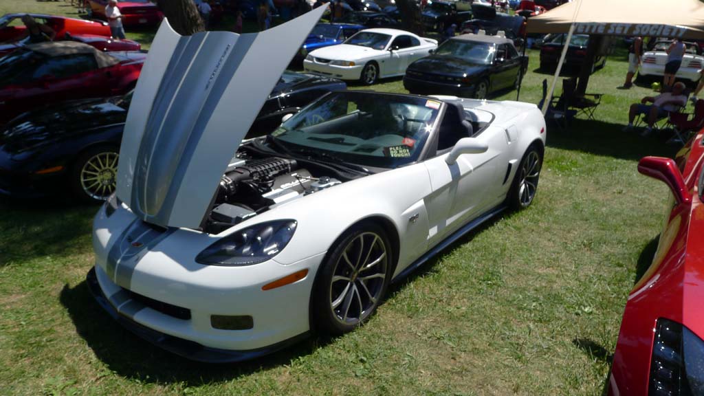 The Corvettes of the 2015 Woodward Dream Cruise