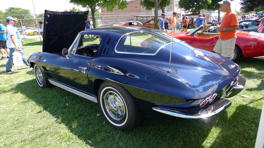 The Corvettes of the 2015 Woodward Dream Cruise