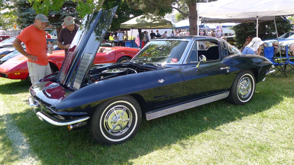 The Corvettes of the 2015 Woodward Dream Cruise