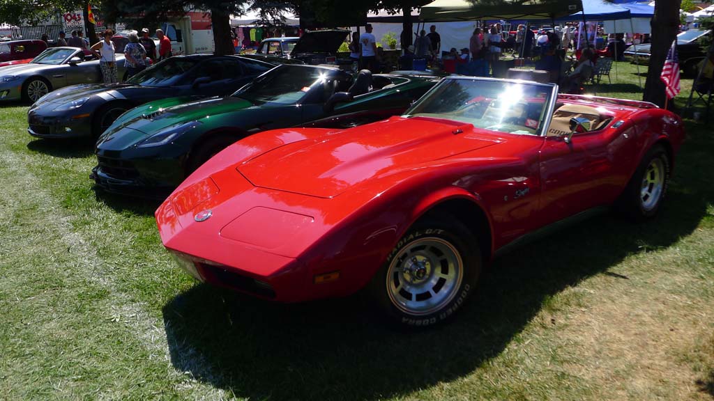 The Corvettes of the 2015 Woodward Dream Cruise
