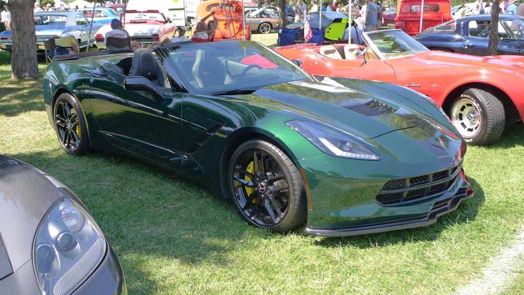 The Corvettes of the 2015 Woodward Dream Cruise