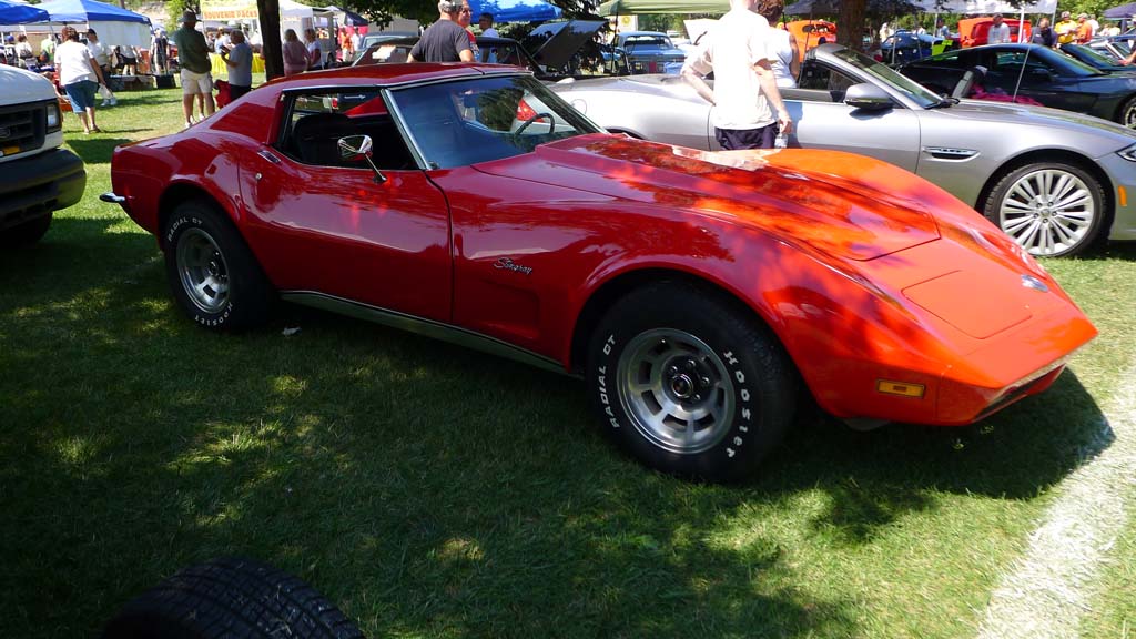 The Corvettes of the 2015 Woodward Dream Cruise