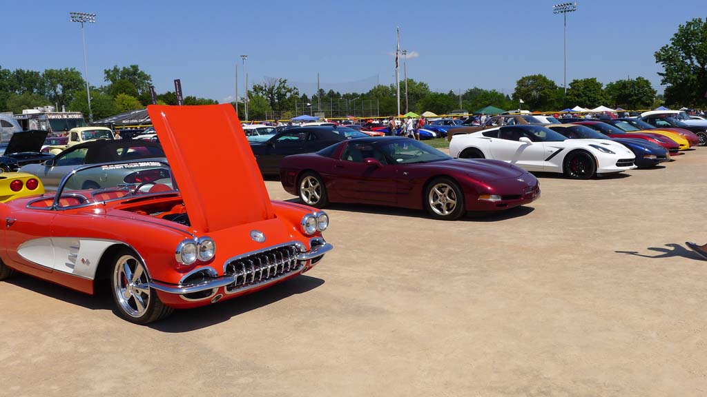 The Corvettes of the 2015 Woodward Dream Cruise
