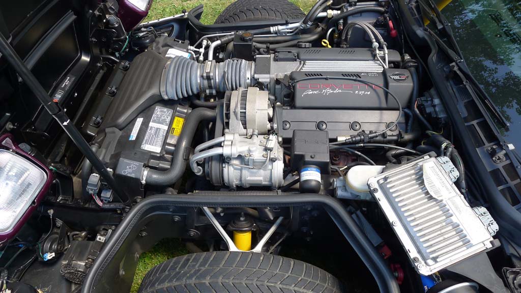 The Corvettes of the 2015 Woodward Dream Cruise