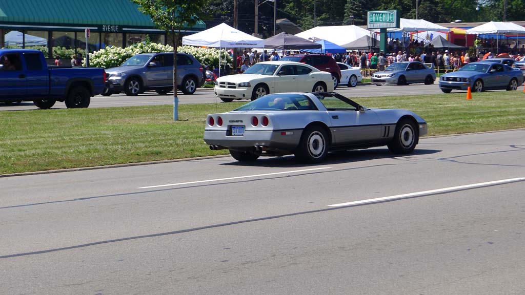 The Corvettes of the 2015 Woodward Dream Cruise