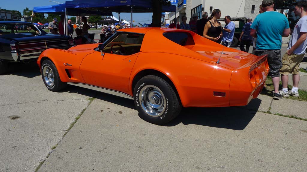 The Corvettes of the 2015 Woodward Dream Cruise