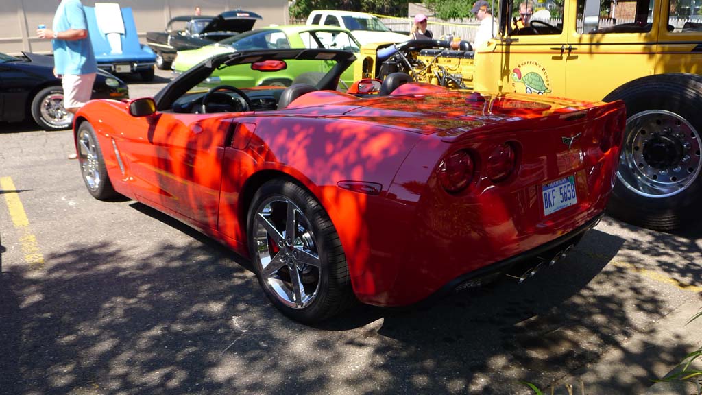 The Corvettes of the 2015 Woodward Dream Cruise