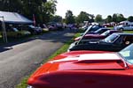 [PICS] The 2015 Corvettes at Carlisle Show