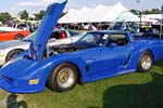 [PICS] The 2015 Corvettes at Carlisle Show