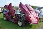 [PICS] The 2015 Corvettes at Carlisle Show