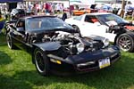 [PICS] The 2015 Corvettes at Carlisle Show