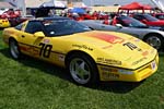 [PICS] The 2015 Corvettes at Carlisle Show