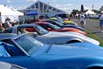 [PICS] The 2015 Corvettes at Carlisle Show