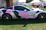 [PICS] The 2015 Corvettes at Carlisle Show