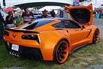 [PICS] The 2015 Corvettes at Carlisle Show