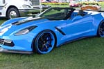 [PICS] The 2015 Corvettes at Carlisle Show