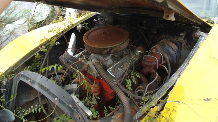 [PICS] Sad 1971 Corvette Barn Find being Sold as a Parts Car