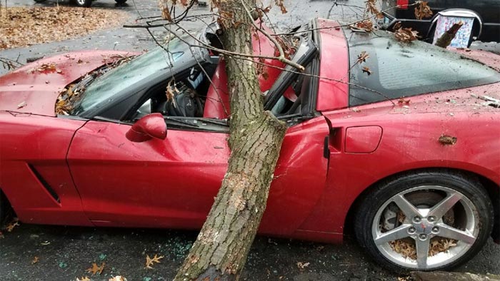 [ACCIDENT] Tree Crashes Down on a 2005 Corvette in Ohio