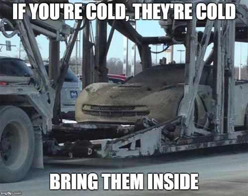 Corvette Meme: If you're cold, they're cold. Bring them inside.